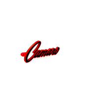 Load image into Gallery viewer, GM Chevy Old School Camaro Badge Keychain with Border